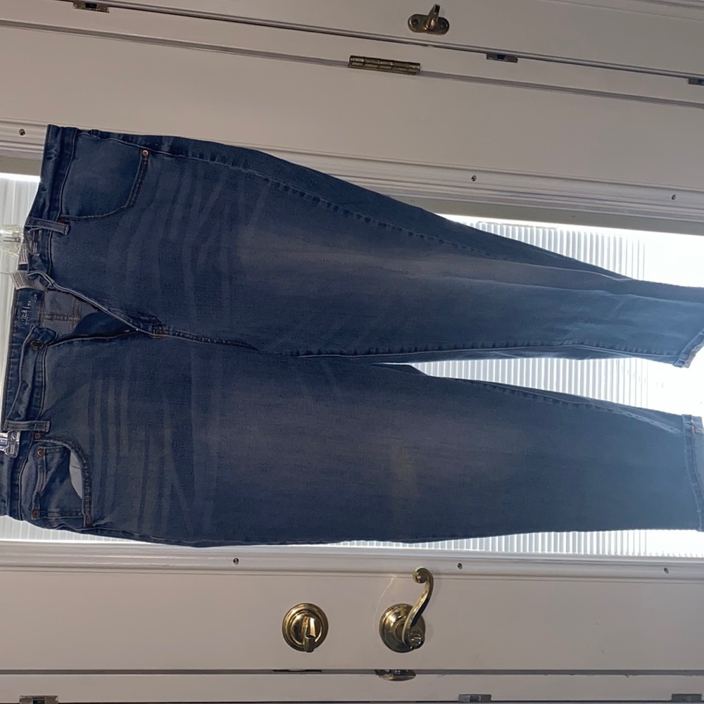 Time and Tru blue Jean size 24 straight